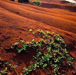 纸嫁衣官方4月7日直播发布会 将官宣《纸嫁衣5》